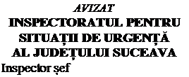 Text Box: AVIZAT
INSPECTORATUL PENTRU
SITUAȚII DE URGENȚĂ
AL JUDEȚULUI SUCEAVA
Inspector șef
